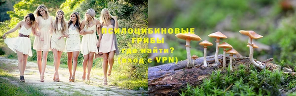 ГАЛЛЮЦИНОГЕННЫЕ ГРИБЫ Алексин