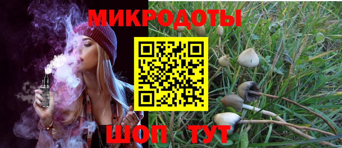 Миасс  Галлюциногенные грибы Psilocybine cubensis  Вход с VPN 